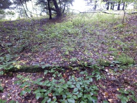 Foto 30